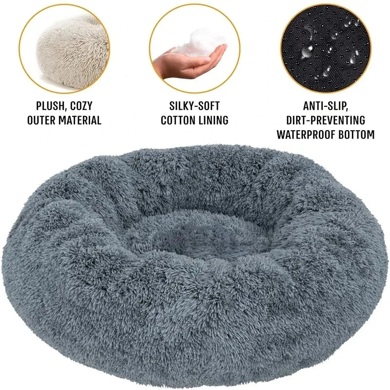 Transform Your Pet's Comfort and Happiness Today!